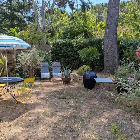 - Cap Brun - T3 Rez De Jardin * Toulon